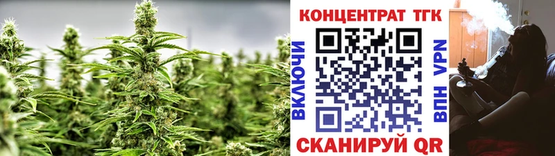 Купить закладки  Ковдор  Дистиллят ТГК гашишное масло 